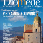 Rivista Diomede - Numero 5 – Anno 2 [2023] n.s.