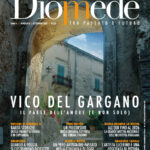 Rivista Diomede - Numero 14 – Anno 4 [2025] n.s.